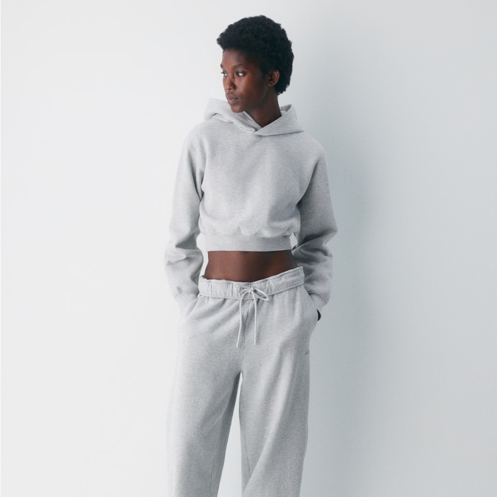 Aritzia Cozy Sweatfleece Perfect Crop Hoodie